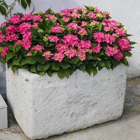 Διαμέρισμα Seka *